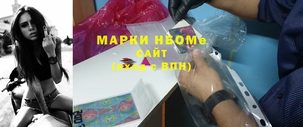 гашик Лабытнанги
