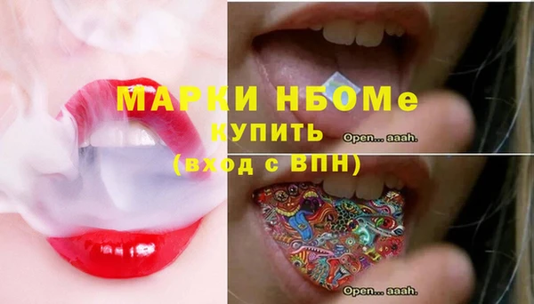 гашик Лабытнанги