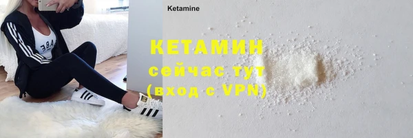 шишки Лагань