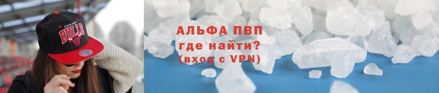 гашик Лабытнанги