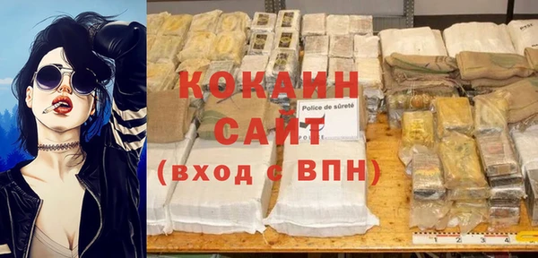 шишки Лагань