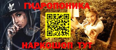 стаф Волгодонск