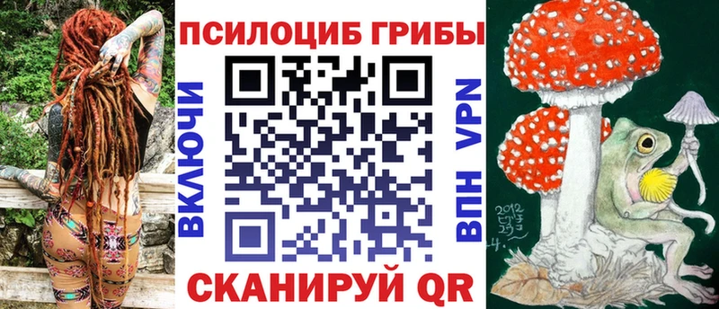 где купить наркоту  Елизово  Галлюциногенные грибы прущие грибы 