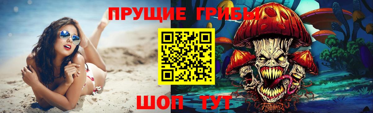 продажа наркотиков  Псилоцибиновые грибы Psilocybe  Псилоцибиновые грибы Magic Shrooms  Вход с VPN  Елизово 