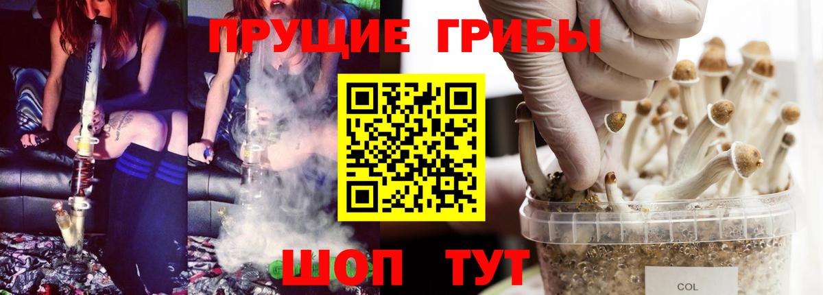 Псилоцибиновые грибы Psilocybe  Псилоцибиновые грибы Cubensis  Елизово 